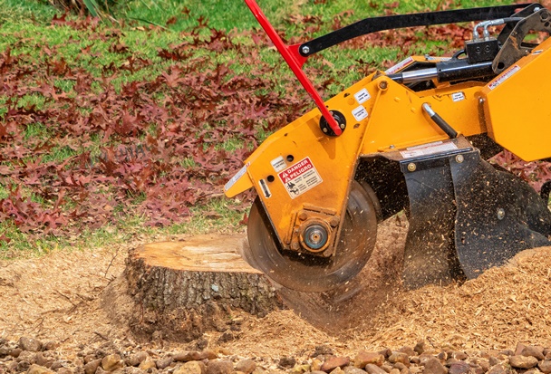 Tree Stump Grinding in Nazeing