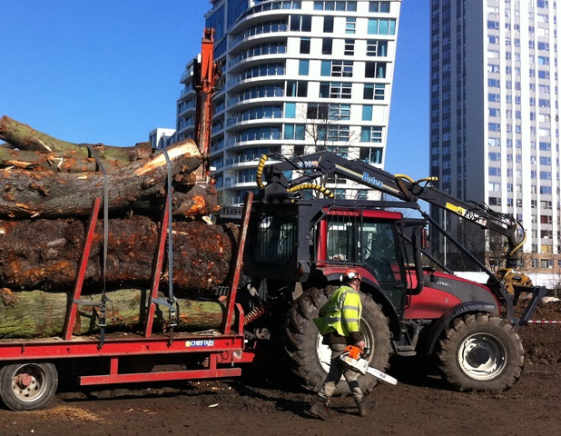 Tree Clearance Services